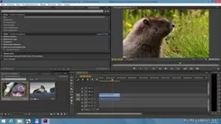 Adobe Premiere Pro Адобе Премьер Про — скриншот 1